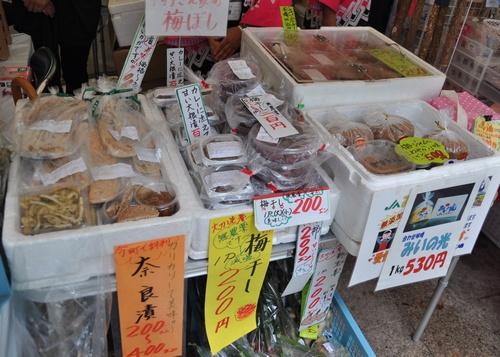 choson12fair9.jpg
