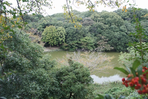 hyoAkashijo15.jpg