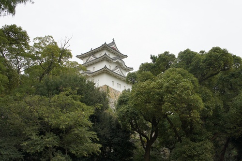 hyoAkashijo16.jpg