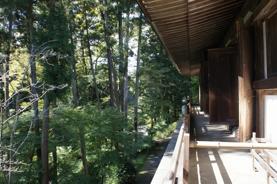 oumiIshi24.jpg