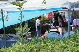 oumiIshi9.jpg