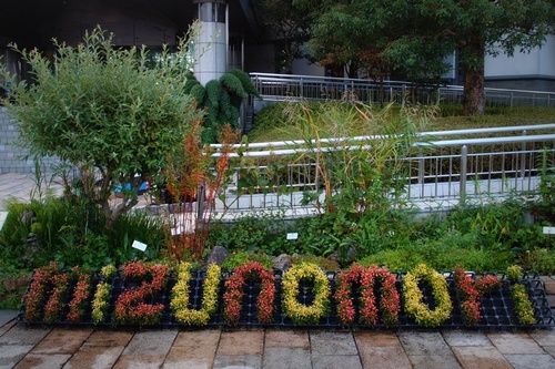 shi12mizunomori8.jpg