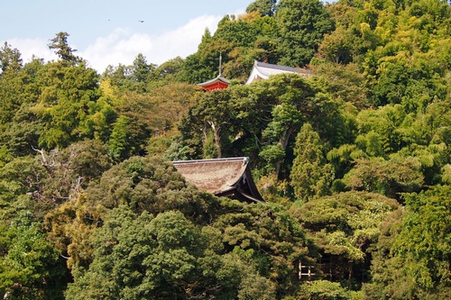 shi12tikubu14.jpg