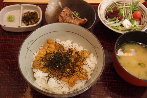 B級グルメな日記 ウニ丼でランチ しらすくじら博多駅店