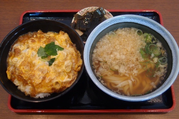 horinokTgd0.jpg
