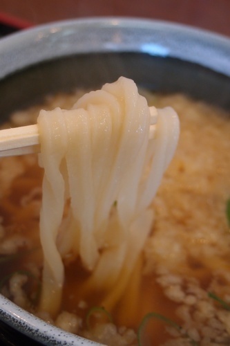 horinokTgd8.jpg