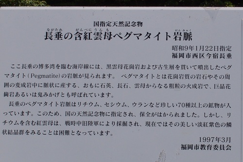 nagatare6.jpg