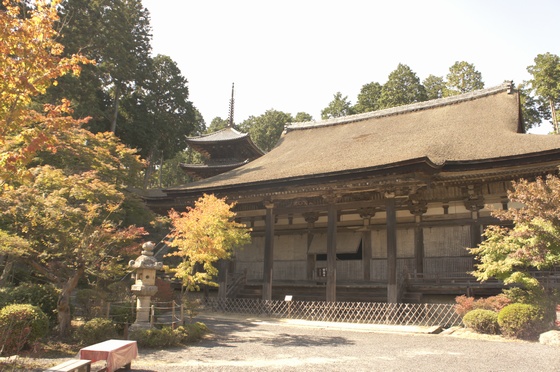 oumiIshibe1.jpg