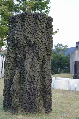 oumiShigaraki44.jpg
