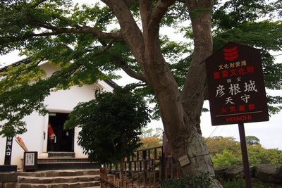 shi12hikonec18.jpg