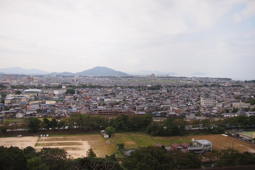 shi12hikonec25.jpg