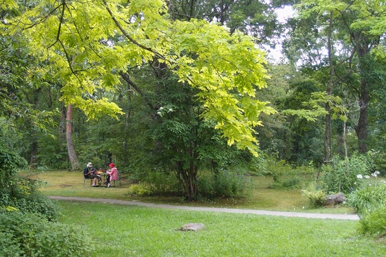 tajimadaib19.jpg