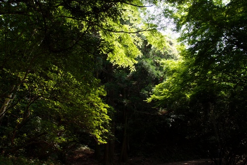 tenpaizan3.jpg